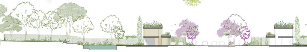 Landscape section through Arcaya showing buildings, trees and terrain