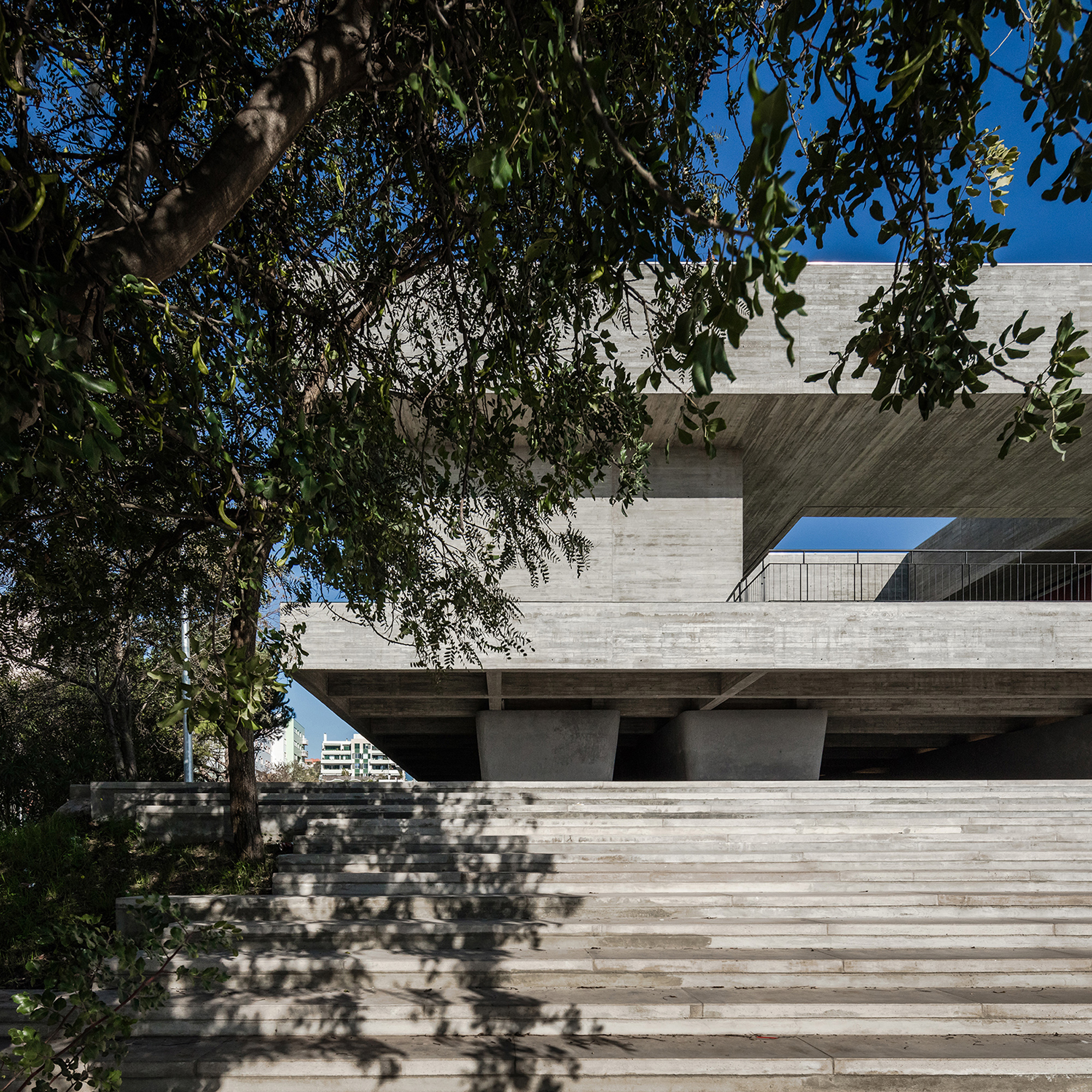 Machado-costa-arquitectos-Escola-freitas-branco-Oeiras-site